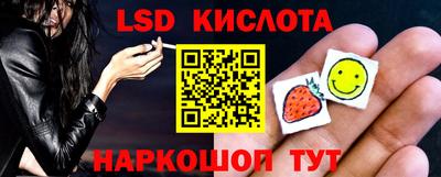 индика Кулебаки