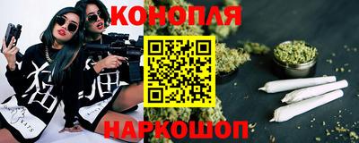 индика Кулебаки