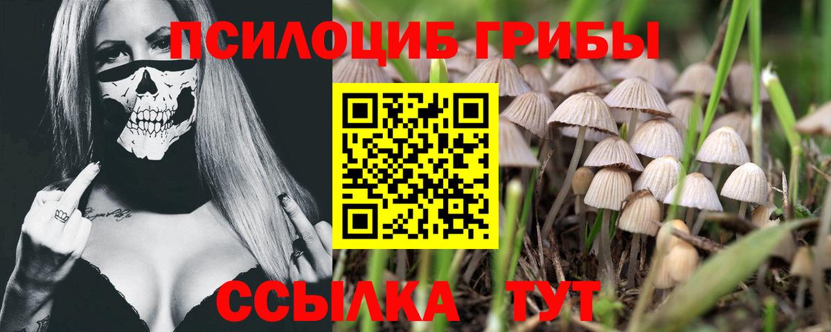 Изобильный  Псилоцибиновые грибы мицелий  Вход с VPN 